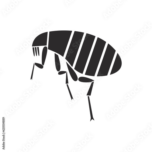 Insects order siphonaptera flea geometric icon illustration