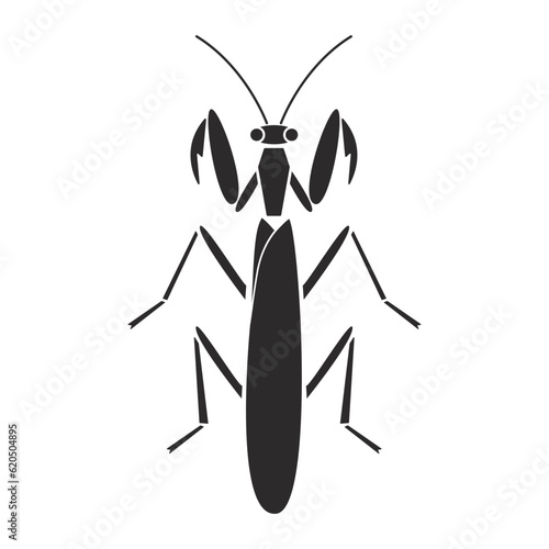 Insects order mantodea mantis geometric icon illustration