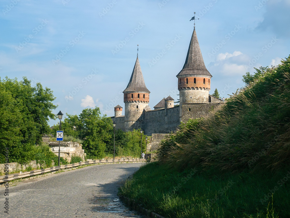 A stone road leads to a medieval castle with high towers with conical roofs