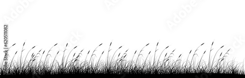 Growing reeds panoramic background design. Riverside. Vector illustration with empty copy space for text. Editable shape for poster decoration. Creative and customizable panorama image