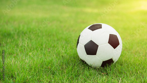 soccer ball on green grass on blurred background and space for text