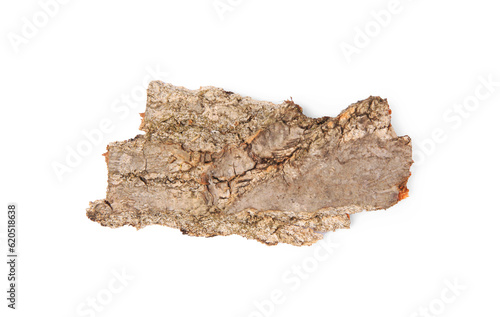 Tree bark piece isolated on white, top view