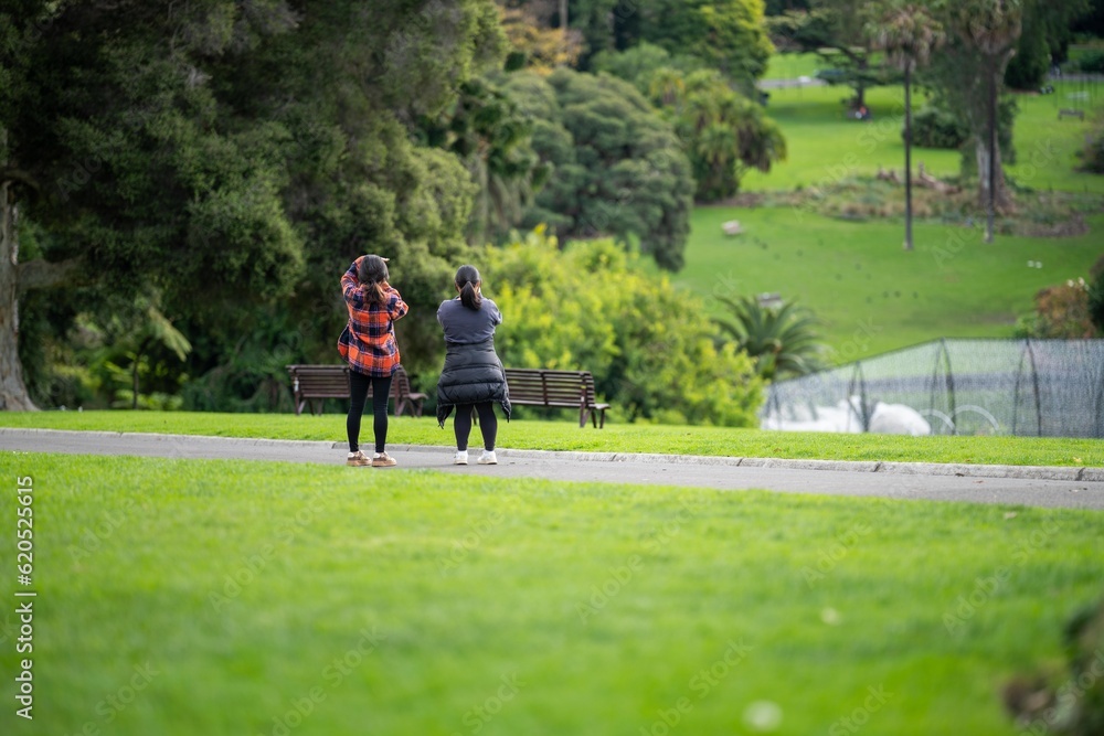 couple walking in a garden. man and woman walk in nature under trees surrounded by plants. family together in a park in spring time couple walking in a garden. man and woman walk in nature under trees surrounded by plants. family together in a park in spring time