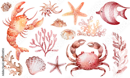 Set of underwater marine animals octopuses, seahorses, crabs, starfish, jellyfish. Marine inhabitants of the underwater world. animal elements isolated on white background