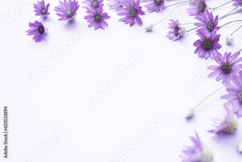 Composition of purple flowers, Xeranthemum annuum ,on white background. The concept of summer, spring, holiday. Top view, flat lay, copy space for text. photo