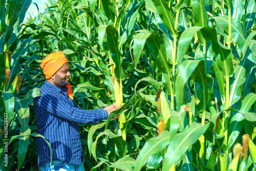 young indian farmer showing corn at corn field.