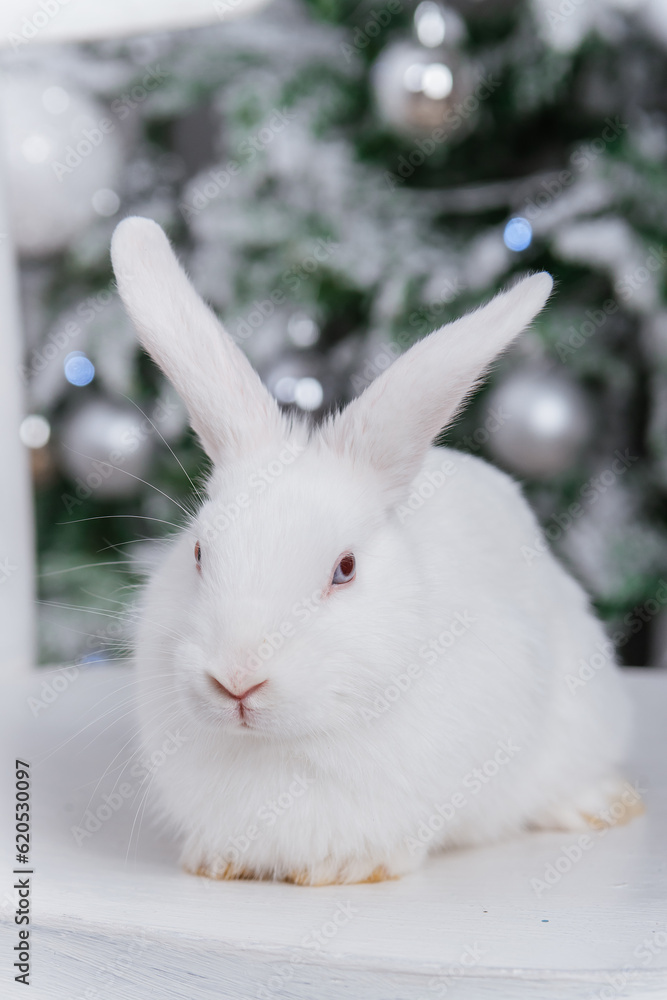 White fluffy rabbit on the bokeh background of the Christmas tree. White fluffy rabbit on the bokeh background of the Christmas tree.