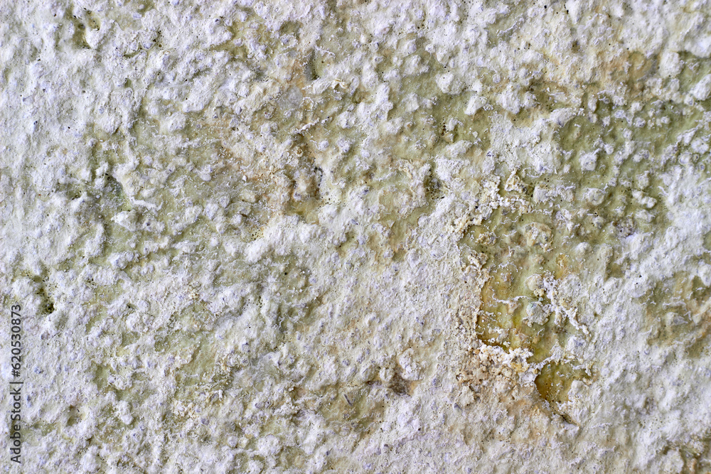 Infested plastered wall with layers of paint, fungus and mold Infested plastered wall with layers of paint, fungus and mold