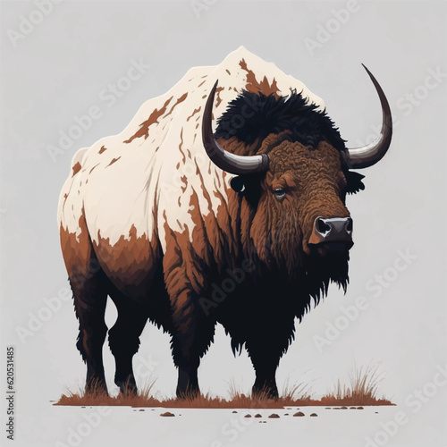 bison, face, vector, illustration, white, background