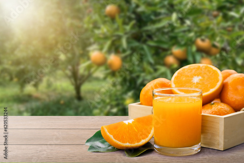 Fresh orange juice and orange fruit on wood table with orange tree in garden background. photo