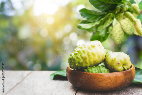 Noni fruit (Morinda Citrifolia) in wooden bowl on wood table with noni tree plantation blurred background. 