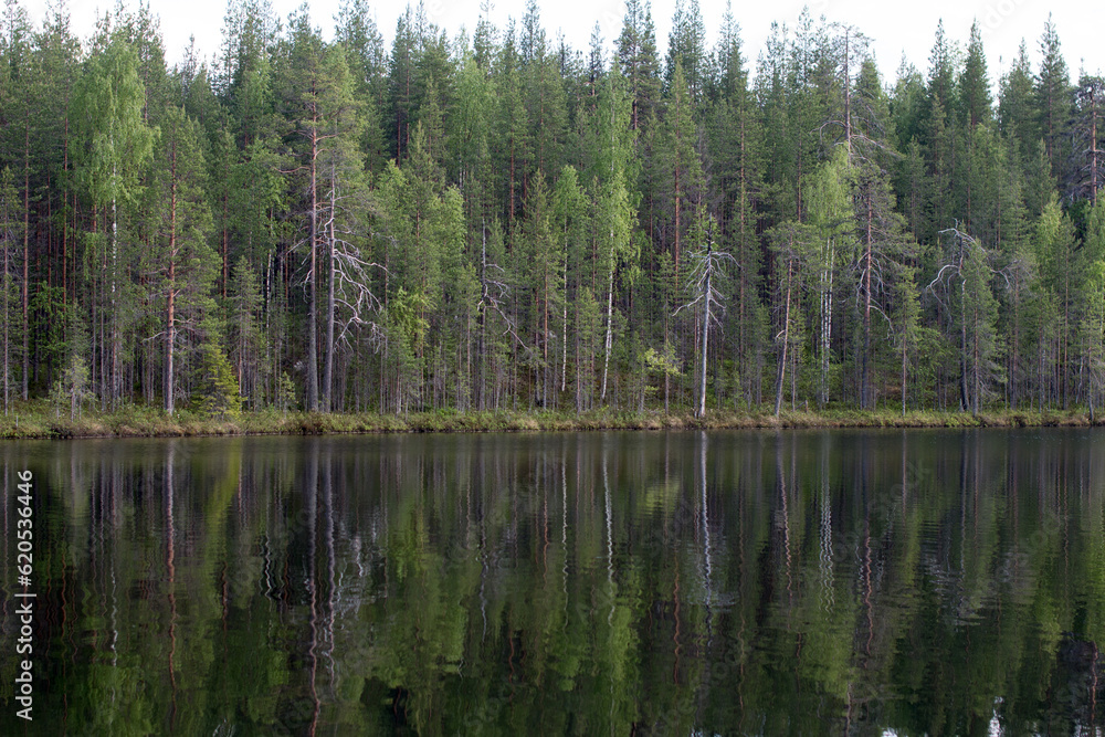 Obraz premium Mountain, northern rivers with rocks and a waterfall. Republic of Karelia