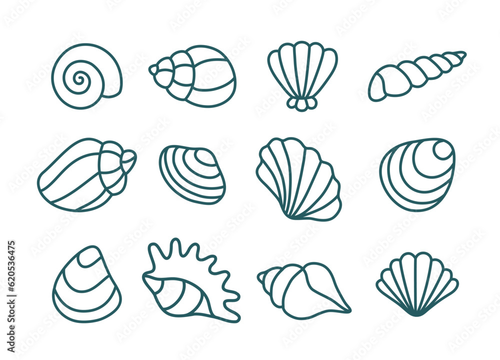 Set of various shells. Vector linear illustration. Set of various shells. Vector linear illustration.