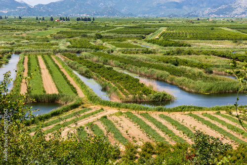 Agricultural land in the Neretva delta in Croatia.