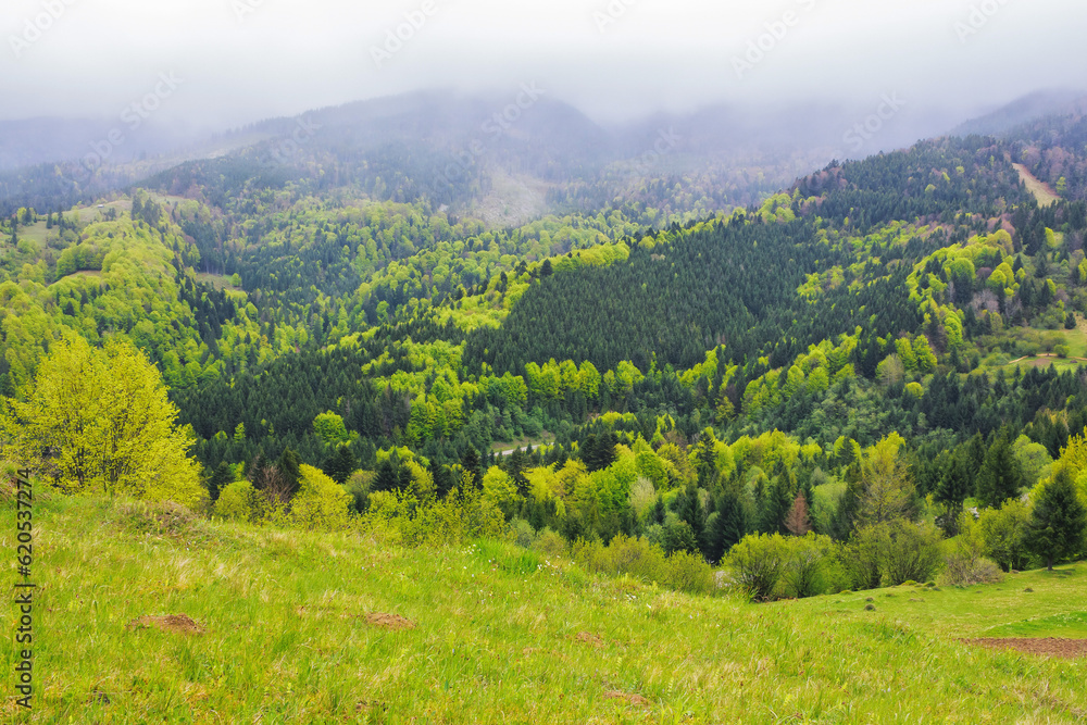 Naklejka premium rural mountain landscape in spring. grassy hills and fields on rolling hills. distant ridge beneath a cloudy sky