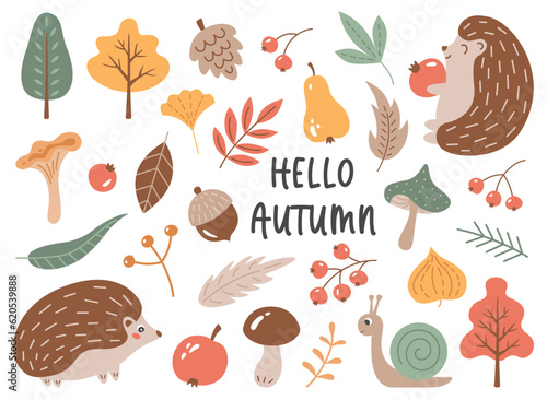 Cute autumn set with hedgehogs, snail, fall trees and leaves, mushrooms, berries, apple, pear, cone, acorn and text "Hello Autumn". Suitable for kids projects, scrapbooking etc. Vector illustration. 