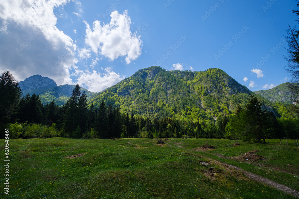 Naklejka premium Radovna Valley in spring in Slovenia
