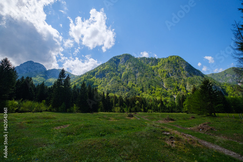 Radovna Valley in spring in Slovenia 