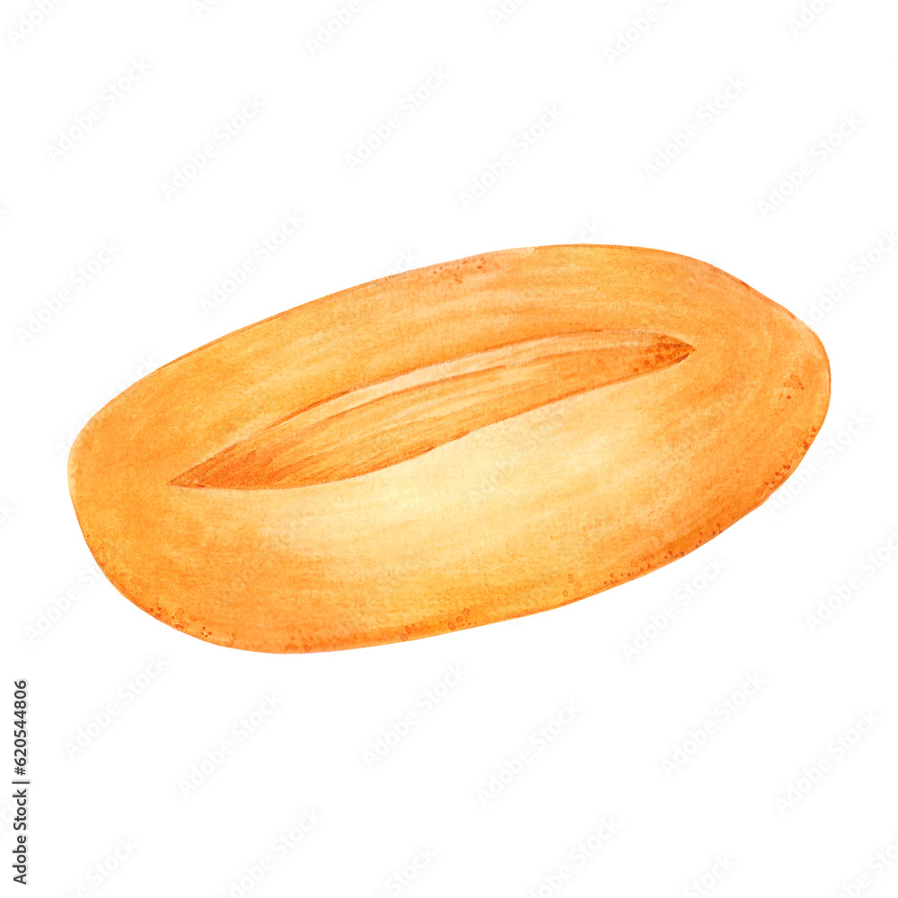 Hand drawn watercolor bread bun. Isolated on white background. Can be used for Scrapbook design, cards, label, banner and any printed products. Hand drawn watercolor bread bun. Isolated on white background. Can be used for Scrapbook design, cards, label, banner and any printed products.