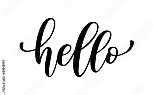HELLO text. Hello word. Hand drawn quote hello. Hi icon lettering. Calligraphy phrase hello. Greetings logo. Vector illustration for print on t shirt, card, poster, hoodies. Welcome