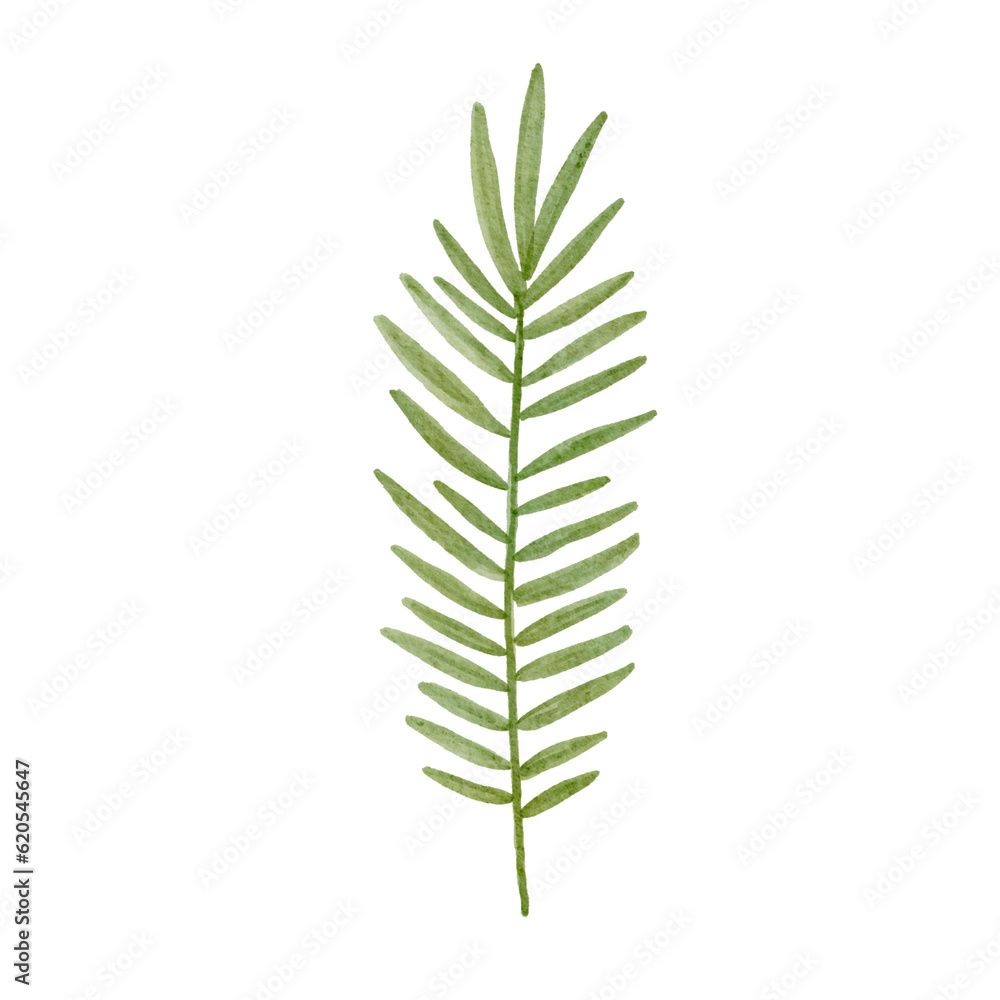Simple Watercolor Textured Plant Simple Watercolor Textured Plant