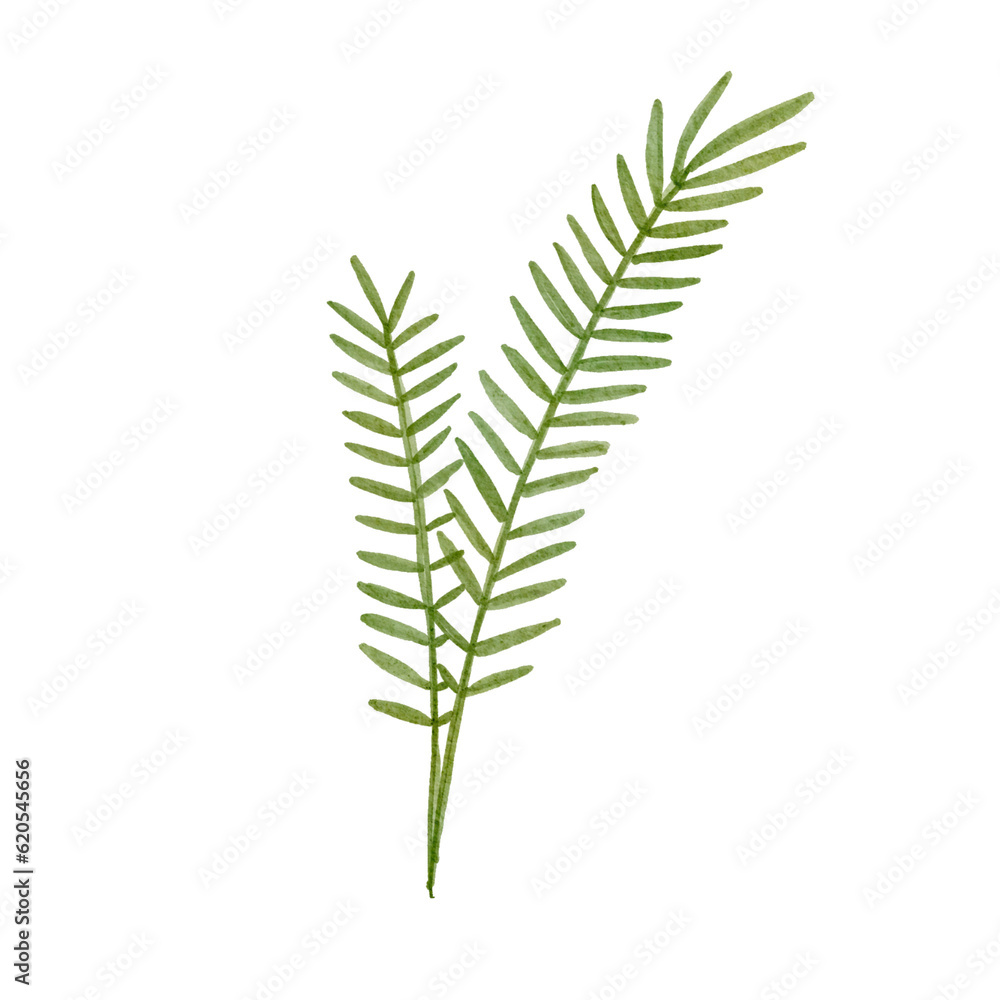 Simple Watercolor Textured Plant Simple Watercolor Textured Plant