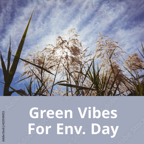 Composition of green vibes for env day text over field