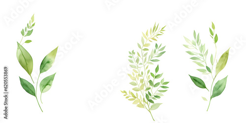 Set of watercolor green leaves elements on transparent background generative ai
