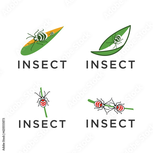 Inscet color logo icon vector image photo