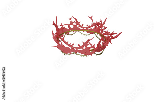 red and white background, The Holy Crown of Thorns