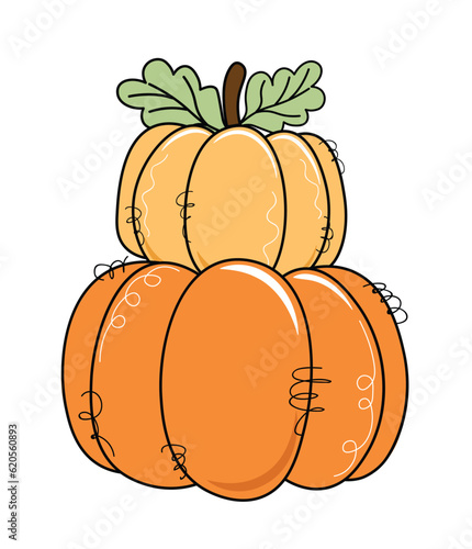Hand drawn pumpkin set vector vintage pumpkin vector