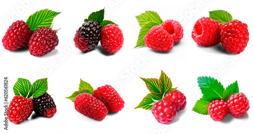 Raspberry collection isolated on transparent background (Loganberry, Raspberry, Arctic Raspberry) 