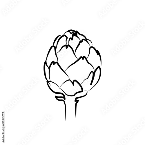Artichoke flower head vector illustration. Food artichoke in doodle style close-up. Sketched artichok in Outline style, isolated on a white background. Organic vegetable artichok, healthy food concept