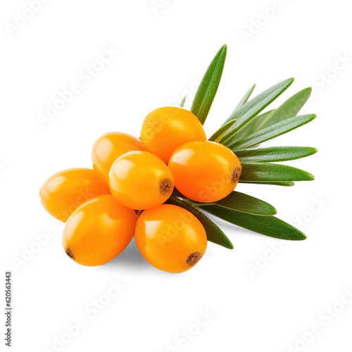 Branch of seabuckthorn with leaves isolated on transparent background