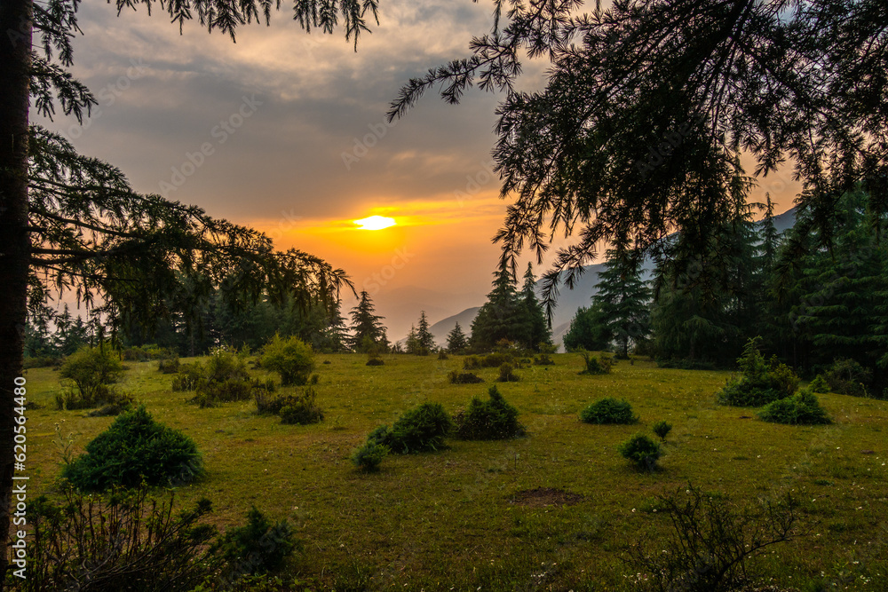 Golden hour in the Himalayas: Sun settles, casting orange sky. Pine tree silhouettes adorn Uttarakhand's scenic beauty. India Golden hour in the Himalayas: Sun settles, casting orange sky. Pine tree silhouettes adorn Uttarakhand's scenic beauty. India