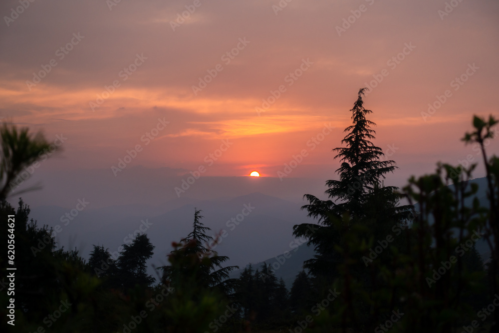 Golden hour in the Himalayas: Sun settles, casting orange sky. Pine tree silhouettes adorn Uttarakhand's scenic beauty. India