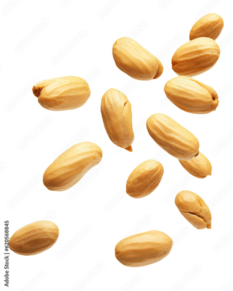 Obraz premium Falling peanuts isolated on transparent or white background, png