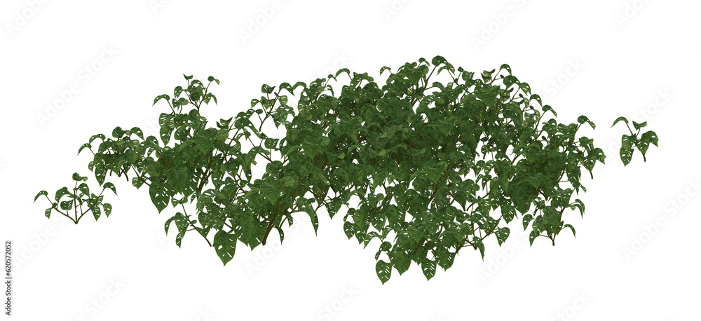 Fototapeta premium Tropical Rain Forest Foliage 3D Illustration, Image 10 of series