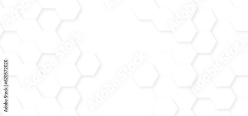 Abstract White Hexagonal Background. Luxury White Pattern. Vector Illustration. 3D Futuristic abstract honeycomb technology mosaic white background. geometric mesh cell texture.