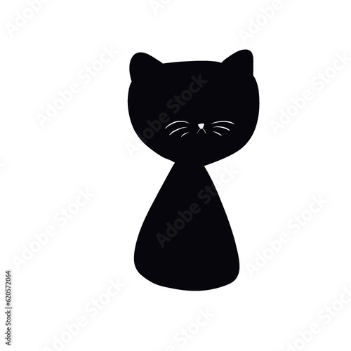 black and white cat