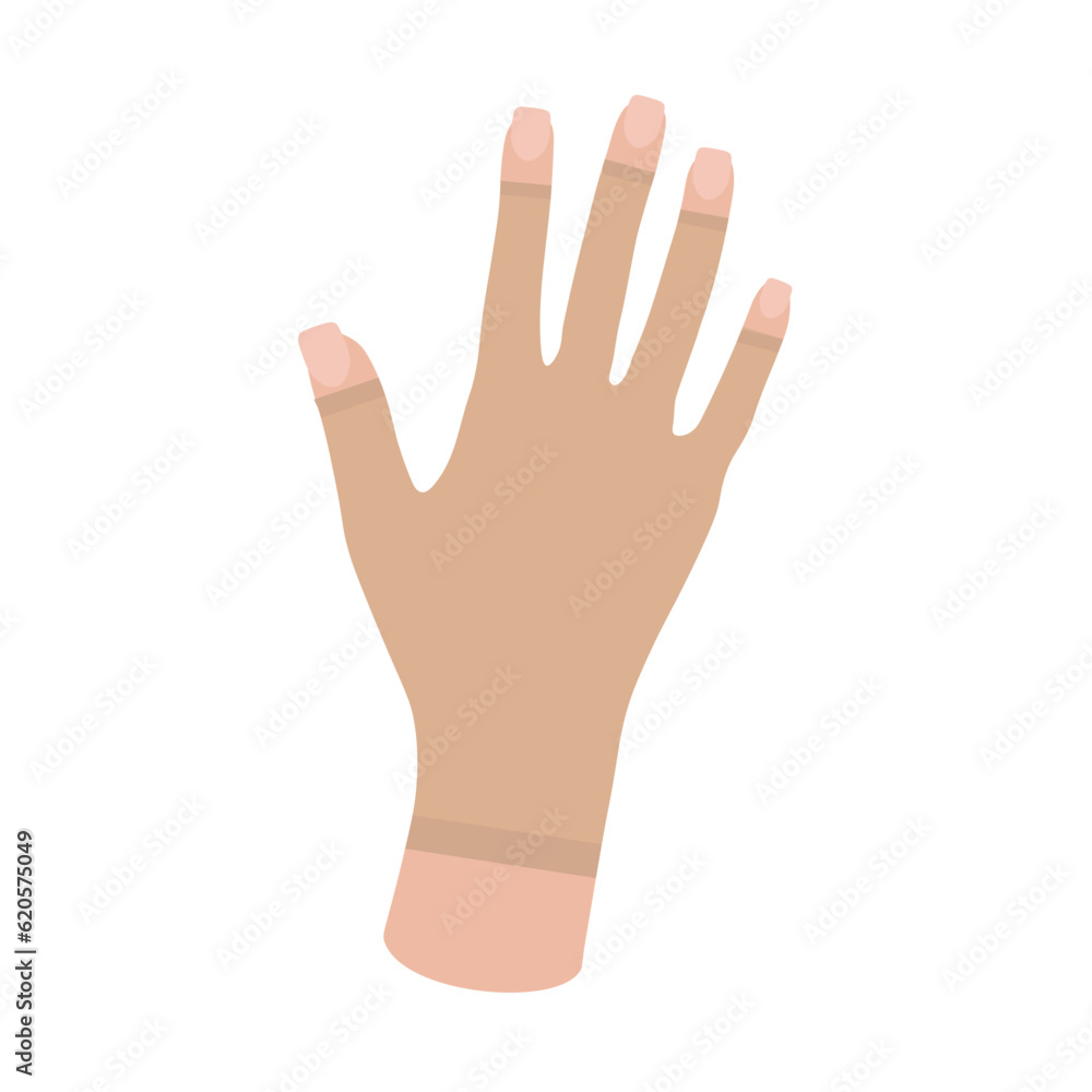 Female hand in Compression Glove. Woman's hand. Arthritis gloves. Swelling, Edema, Lymphedema, Post Surgery. Blood flow. Medical underwear. Specialized hosiery for diseases. Vector illustration. Female hand in Compression Glove. Woman's hand. Arthritis gloves. Swelling, Edema, Lymphedema, Post Surgery. Blood flow. Medical underwear. Specialized hosiery for diseases. Vector illustration.