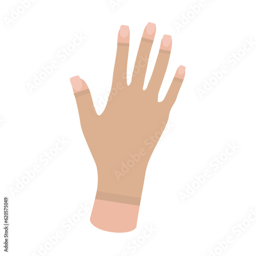Female hand in Compression Glove. Woman's hand. Arthritis gloves. Swelling, Edema, Lymphedema, Post Surgery. Blood flow. Medical underwear. Specialized hosiery for diseases. Vector illustration.