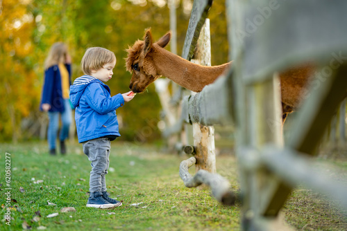 Cute toddler boy looking at an alpaca at a farm zoo on autumn day. Children feeding a llama on an animal farm. Kids at a petting zoo at fall. photo