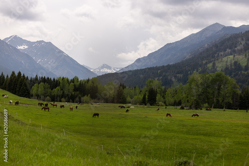 Wallpaper Mural Montana Landscape Torontodigital.ca