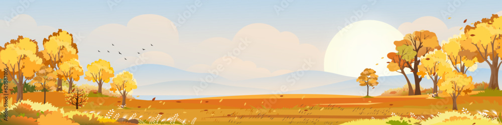 Autumn landscape scenery with morning sky and cloud over forest trees with fall leaves,Vector banner wonderful picturesque background with yellow foliage,Cartoon Colour Nature Fall season background