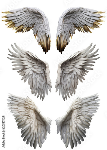 Fotografija a set of majestic spread angel bird wings on transparent background