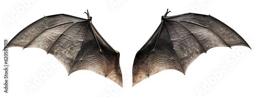spread bat vampire wings on transparent background