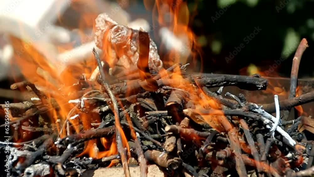 Beautiful flames burn among the branches of trees in a fire close-up Beautiful flames burn among the branches of trees in a fire close-up