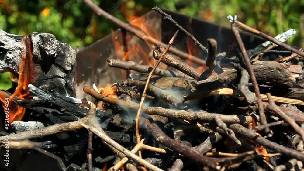 Beautiful flames burn among the branches of trees in a fire Beautiful flames burn among the branches of trees in a fire