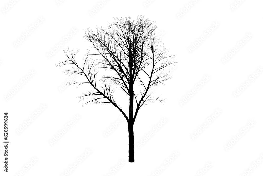 Obraz premium Tree silhouette botanic artwork seasonal wood shape art